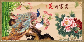 孔雀图