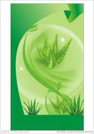 芦荟海报