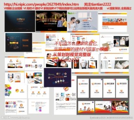 VI手册提案 视觉形象