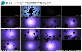 夜场极品节奏蝴蝶led晚会背景