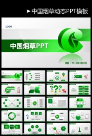 烟草局年终总结会议PPT烟草