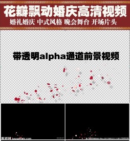 婚礼开场玫瑰花瓣透明通道视频