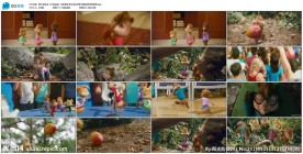 江南style花栗鼠版配乐成品