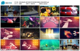 动感节奏猫国外情调精选视频