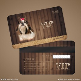 宠物会员卡图片