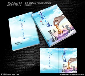 企业策略书籍封面设计