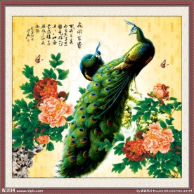 孔雀富贵图