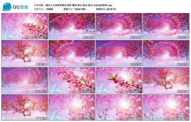 梅花花辨舞台演出动态LED背景