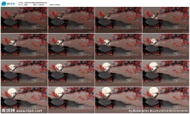 红梅映月舞台歌舞晚会视频背景