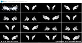 婚庆婚礼天使翅膀LED高清素材