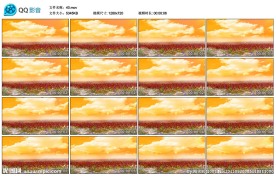 花海白云婚礼婚庆LED动态视频