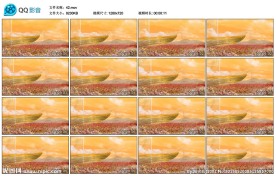 花海小船婚礼金色LED背景视频