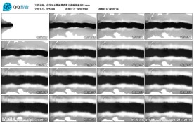 中国风水墨滴墨喷墨古典视频素材