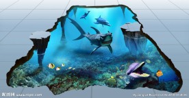 鲨鱼海豚3D画