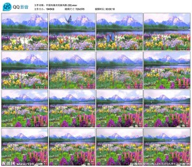 草地花海春天背景歌舞晚会LED