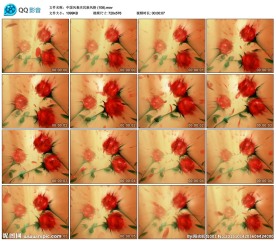 玫瑰花朵婚礼歌曲LED背景视频