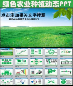 绿色农业种植科技粮食生产PPT