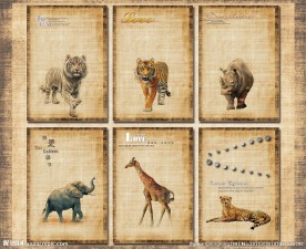 手绘本子（分层）