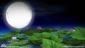 民族舞蹈荷塘月色高清LED视频