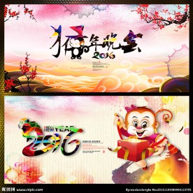 2016 猴年