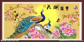 孔雀牡丹图 花开富贵