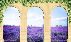 3D立体薰衣草花海