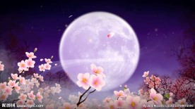 花开盛世LED素材