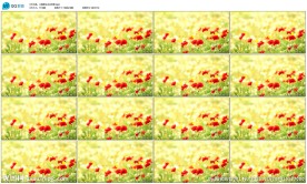 主题婚礼动态花海舞台演出背景