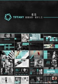 项目投资年度总结PPT模板