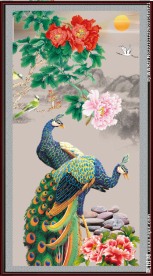 孔雀图