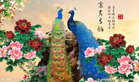 国画