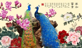 孔雀牡丹图