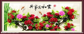 牡丹花