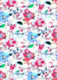 彩色花朵 花枝 分层