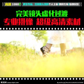 小清新的