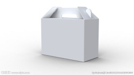 空白纸箱
