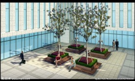 交警直属大队中控树池