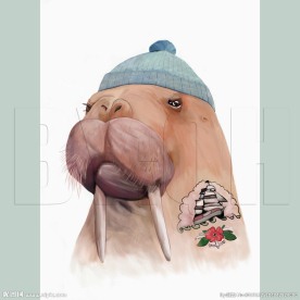 分层可换背景手绘动物头像海象