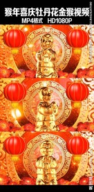猴年大红灯笼牡丹花中国风视频