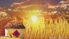 丰收粮仓麦穗麦田