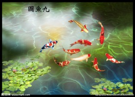 九鱼图