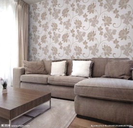 大气高清家装设计图图片