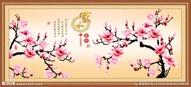 玉兰花
