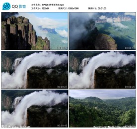 航拍森林热带雨林视频