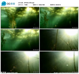 湖底水草水底世界