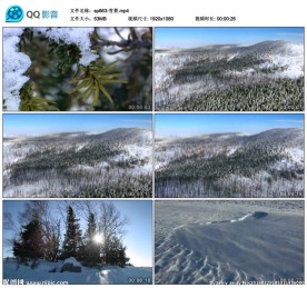 寒冷冬天雪地雪景