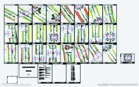 虎踞大道四标段绿化竣工图