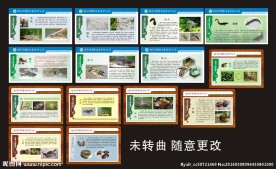 湿地公园科普知识