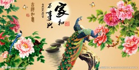 牡丹孔雀图