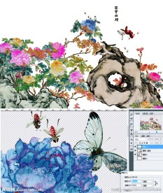 高清分层富贵白头花鸟图